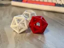 Rattling Impossible D20 Cat Toy